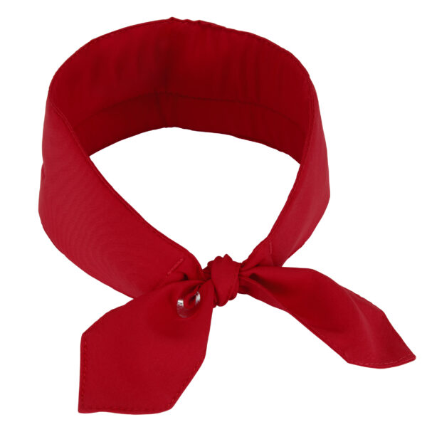 Ansicht von hinten kühlendes Halstuch mit Logo von E.COOLINE in Farbe rot