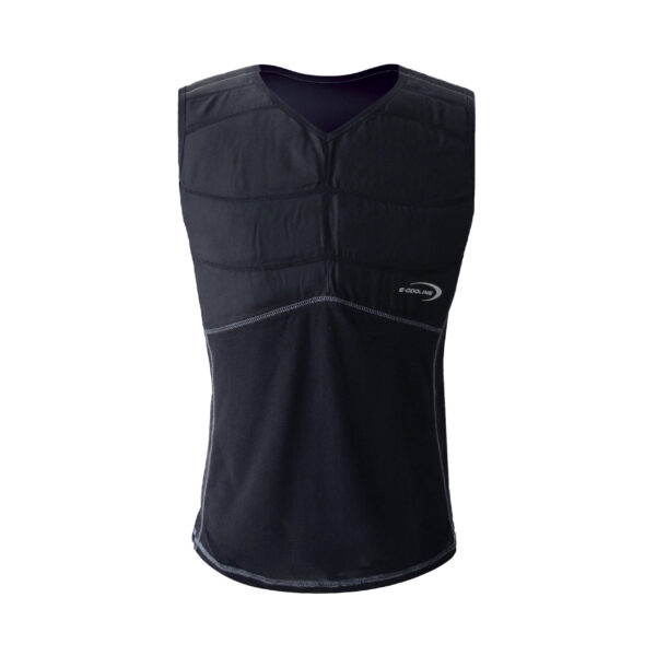 Kühlshirt mit Absteppungen von E.COOLINE in Farbe schwarz